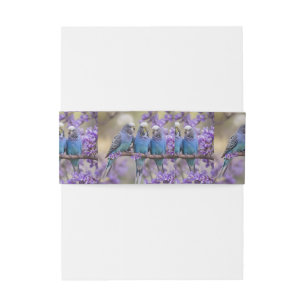 Tree Top Chatter: Blue Budgies In Jacaranda Tree, Invitation Belly Band