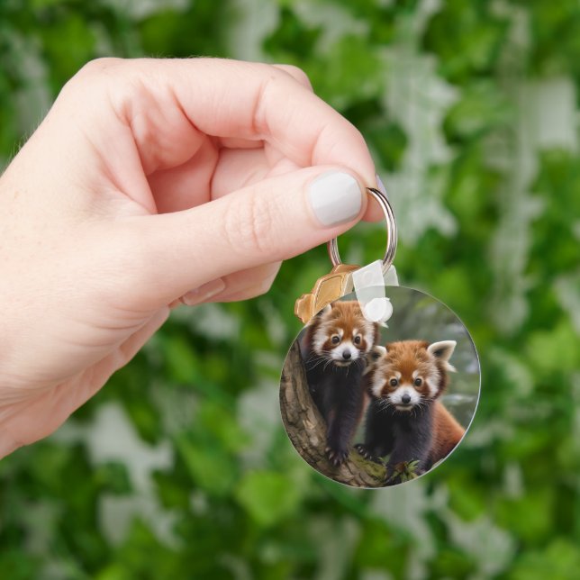 "Tree-top Explorers: Baby Red Pandas Looking Out Key Ring (Hand)