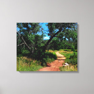 Tree Trail Canvas Print