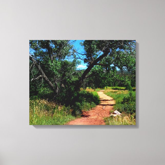 Tree Trail Canvas Print (Front)