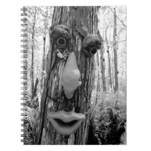 Tree troll on a Big Cypress tree. Notebook
