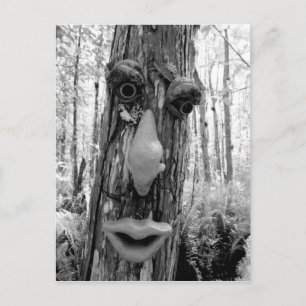 Tree troll on a Big Cypress tree. Postcard