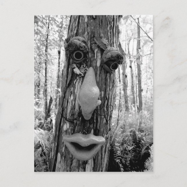 Tree troll on a Big Cypress tree. Postcard (Front)