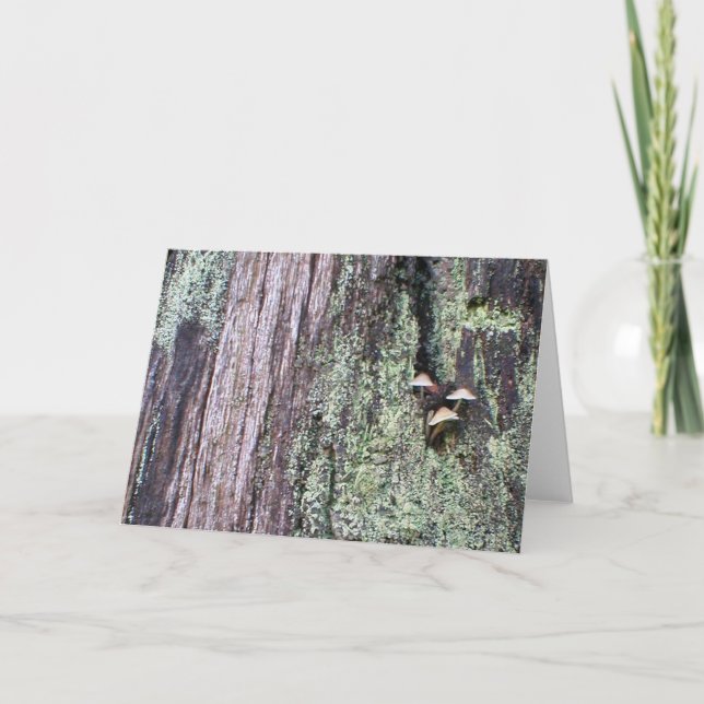 Tree Trunk 2 Card (Front)