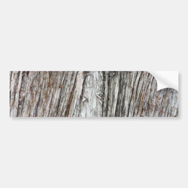 Tree trunk bumper sticker (Front)