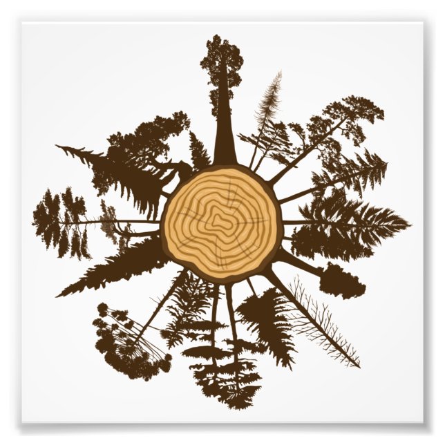 Tree Trunk Cross Section Growth Rings Pine Trees Photo Print (Front)