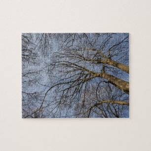 Tree trunk design/pattern. Pioineer Park, WA Jigsaw Puzzle