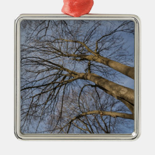 Tree trunk design/pattern. Pioineer Park, WA Metal Tree Decoration