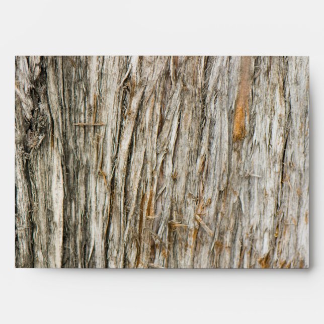 Tree trunk envelopes (Front)