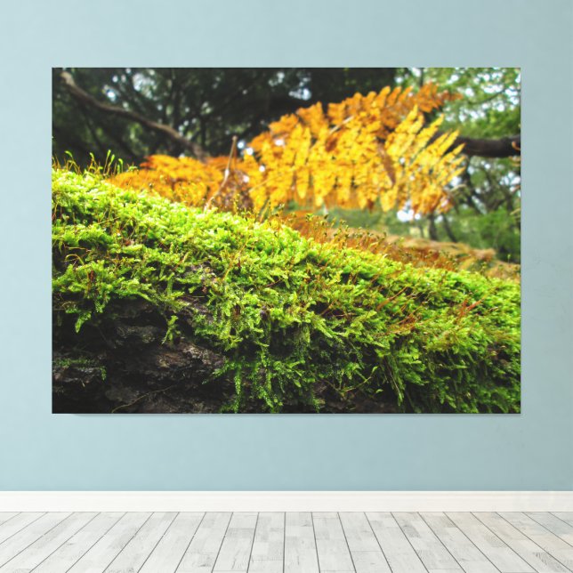 Tree Trunk in Lush Moss - Canvas Print (Insitu(Wood Floor))