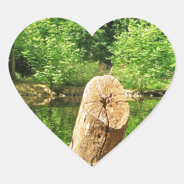 Tree Trunk Nature Photography Lake Park Heart Sticker (Front)