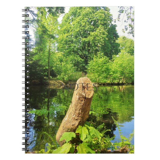 Tree Trunk Nature Photography Lake Park Notebook (Front)
