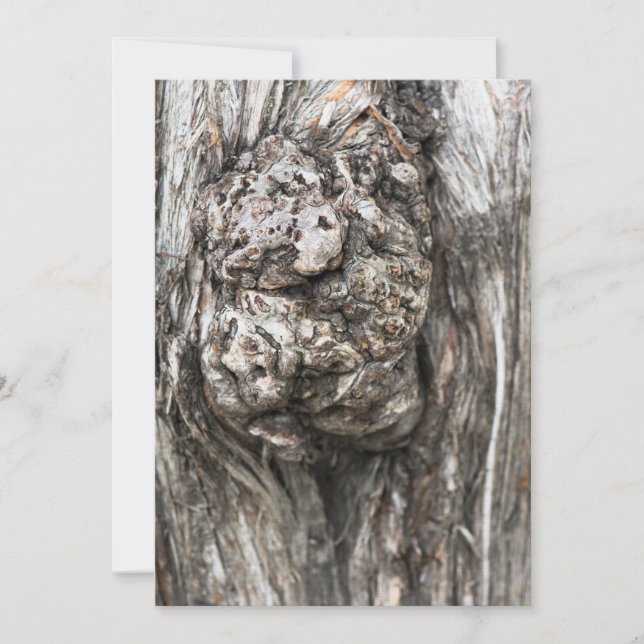 Tree trunk’s knot (Front)