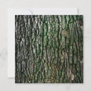 Tree Trunk (Wood Bark) Card