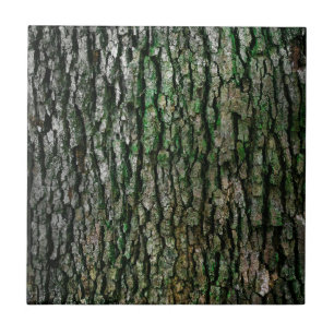 Tree Trunk (Wood Bark) Tile