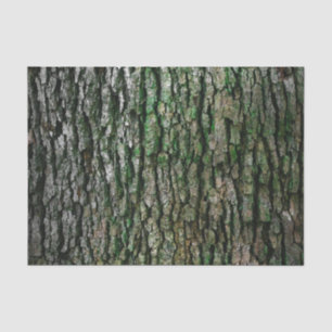 Tree Trunk (Wood Bark) Tissue Paper