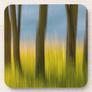 Tree Trunks and Grass San Juan Islands, WA Coaster