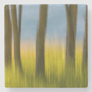 Tree Trunks and Grass San Juan Islands, WA Stone Coaster