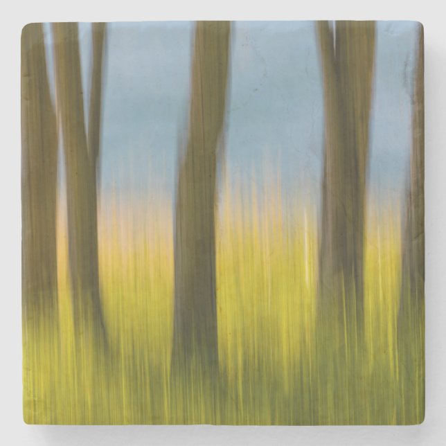 Tree Trunks and Grass | San Juan Islands, WA Stone Coaster (Front)
