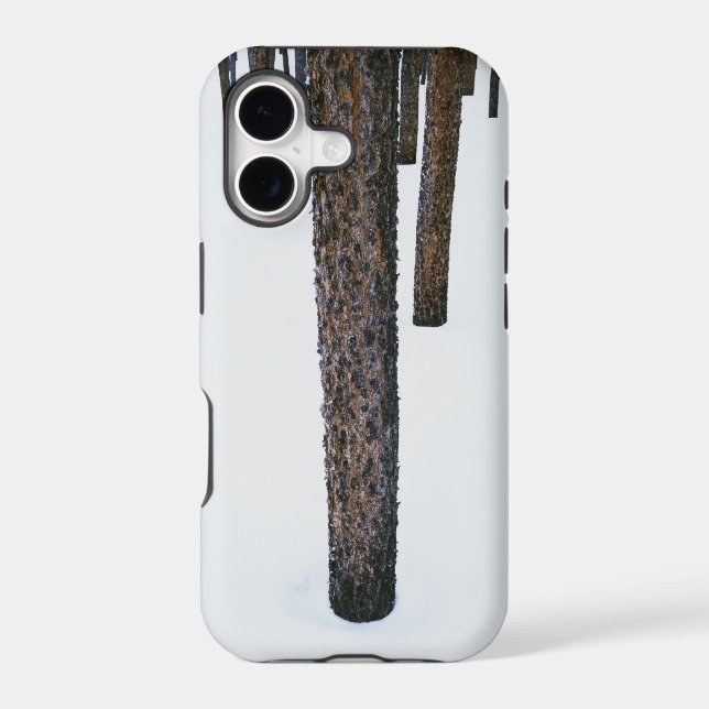 Tree Trunks in Snow (Back)