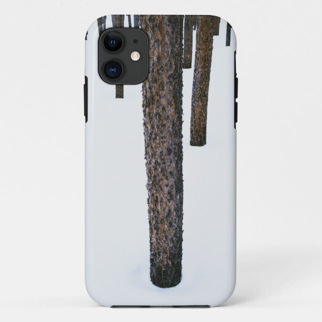 Tree Trunks in Snow Case-Mate iPhone Case (Back)