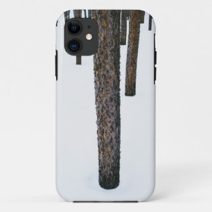 Tree Trunks in Snow iPhone 11 Case