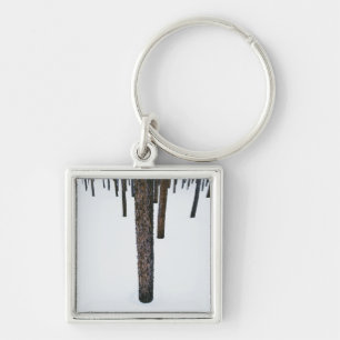 Tree Trunks in Snow Key Ring