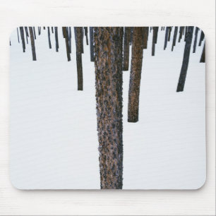Tree Trunks in Snow Mouse Mat
