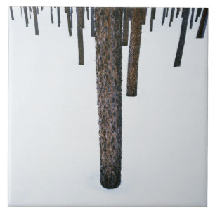 Tree Trunks in Snow Tile