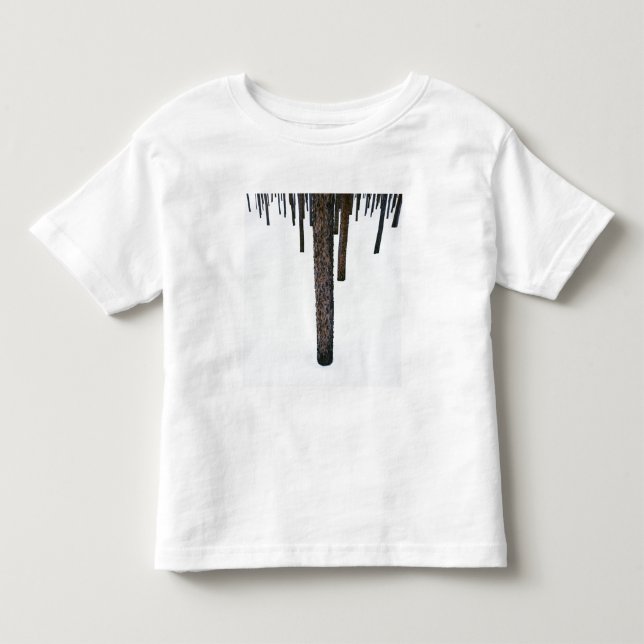 Tree Trunks in Snow Toddler T-Shirt (Front)