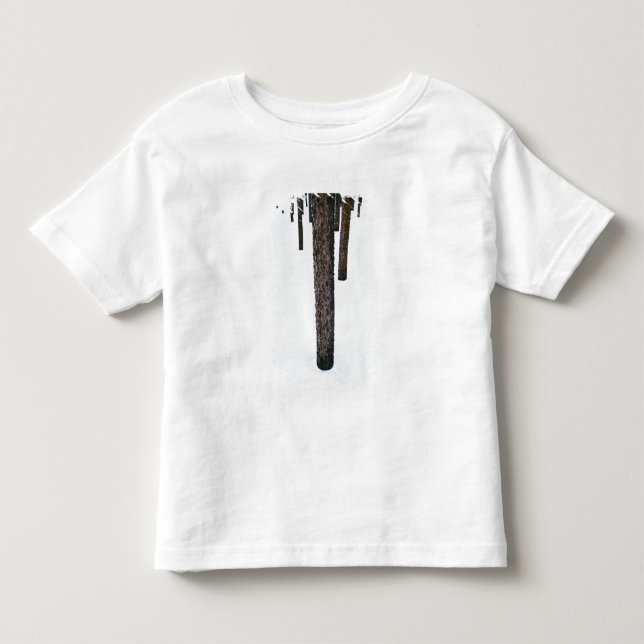 Tree Trunks in Snow Toddler T-Shirt (Front)