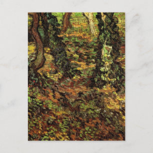 Tree Trunks with Ivy by Vincent van Gogh Postcard