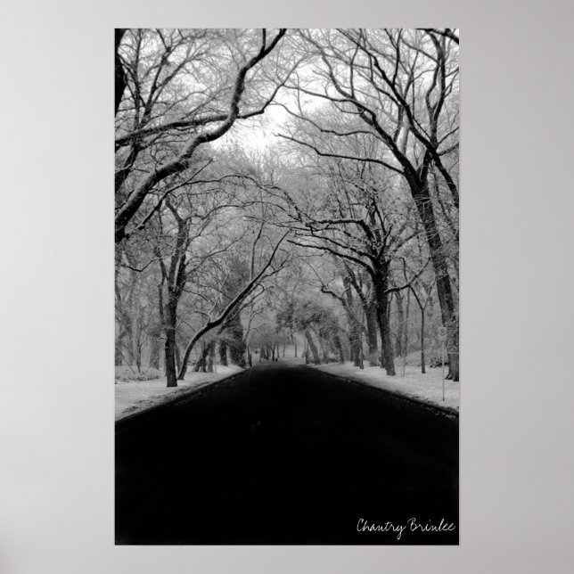 Tree Tunell Poster (Front)