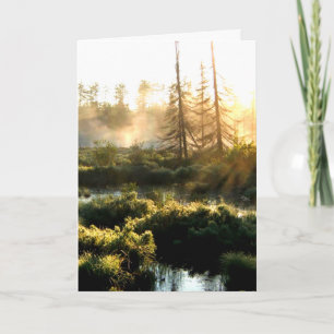 Tree Water Bog Landscape Card