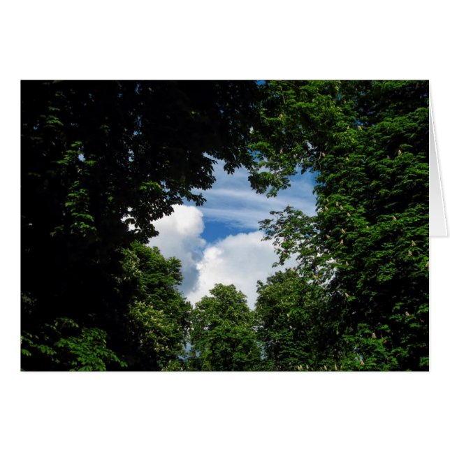 Tree window (Front Horizontal)