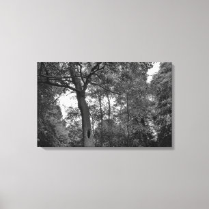 Tree with a Mysterious Hole II Canvas Print