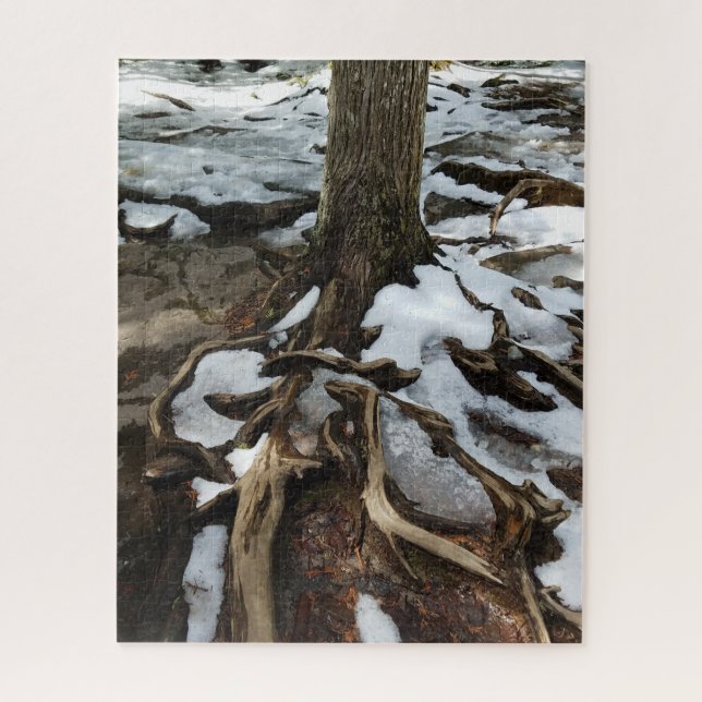 Tree With Exposed Roots and Snow Jigsaw Puzzle (Vertical)