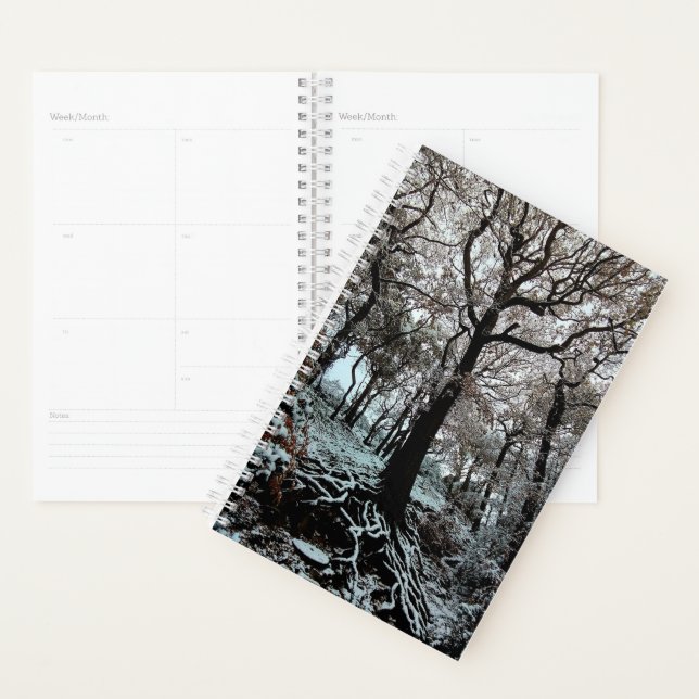 Tree , with roots planner (Display)