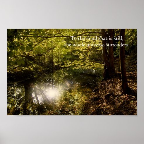 Lao Tzu Posters & Prints | Zazzle UK