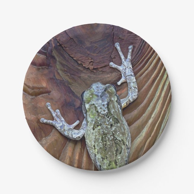 Treefrog on Cedar Fence Paper Plate (Front)