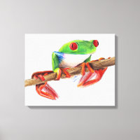 Treefrog tree frog cute animal illustration drawin