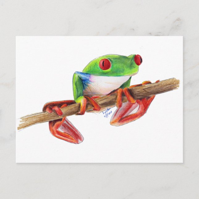 Treefrog tree frog cute animal illustration drawin postcard (Front)