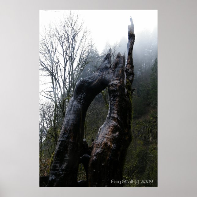 Treegina Poster (Front)