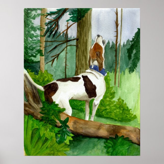 Treeing Walker Coonhound Dog Portrait Poster (Front)