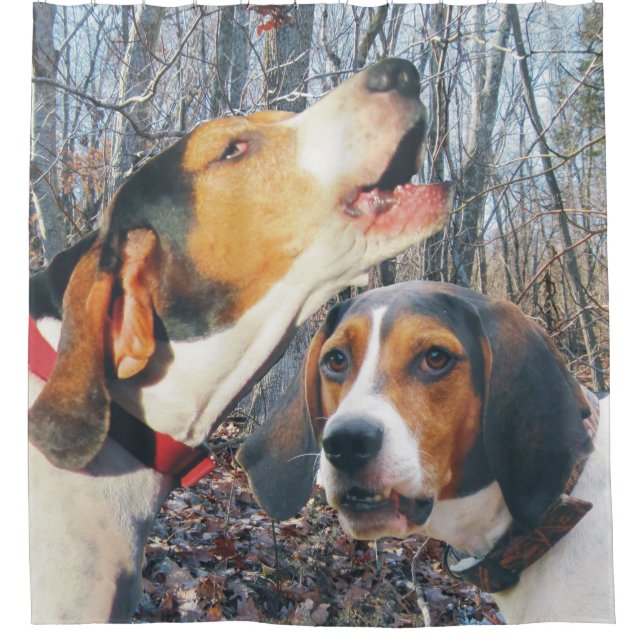 Treeing Walker Coonhound Dogs In Woods Shower Curtain (Front)