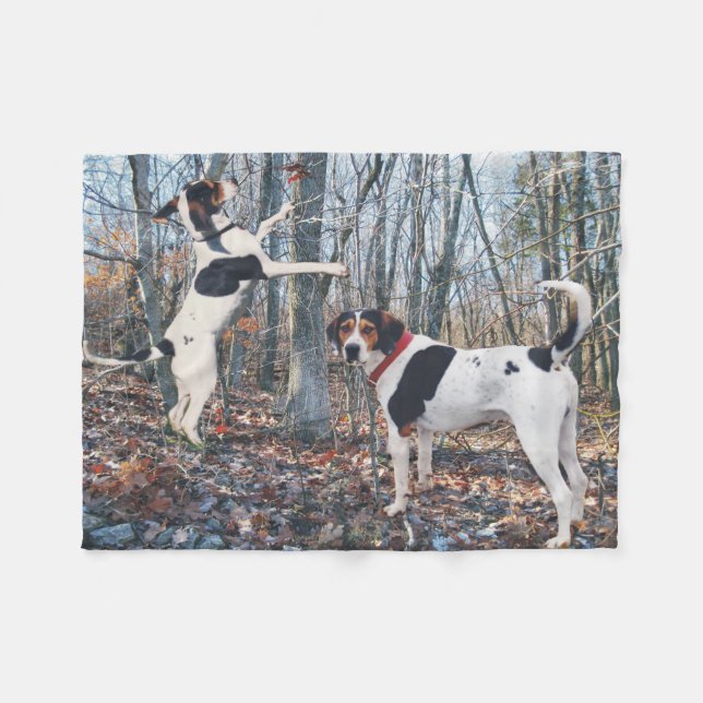 Treeing Walker Coonhound Dogs Woods Fleece Blanket (Front (Horizontal))