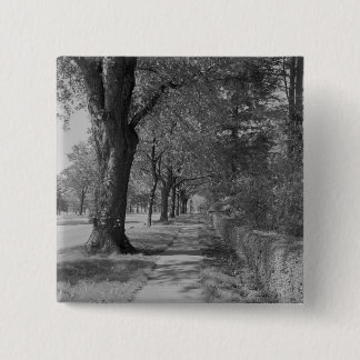 Treelined street with sidewalk 15 cm square badge