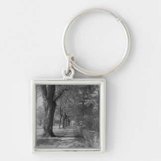 Treelined street with sidewalk key ring