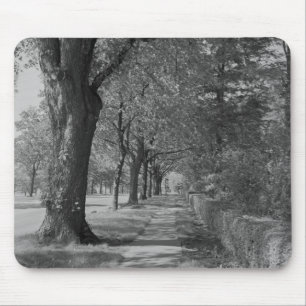 Treelined street with sidewalk mouse mat