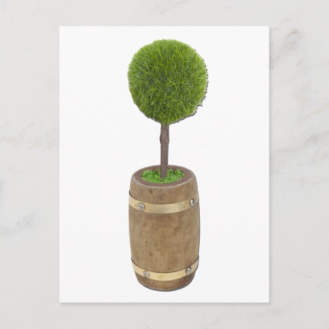 TreePlantedRainBarrel050811 Postcard (Front)